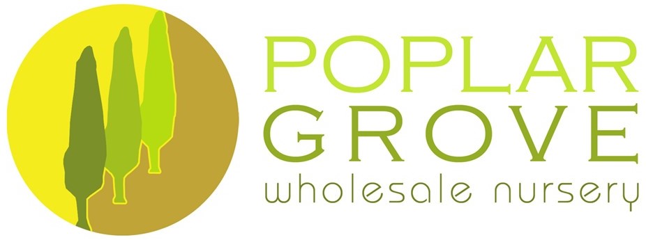 Poplar Grove Wholesale nursery